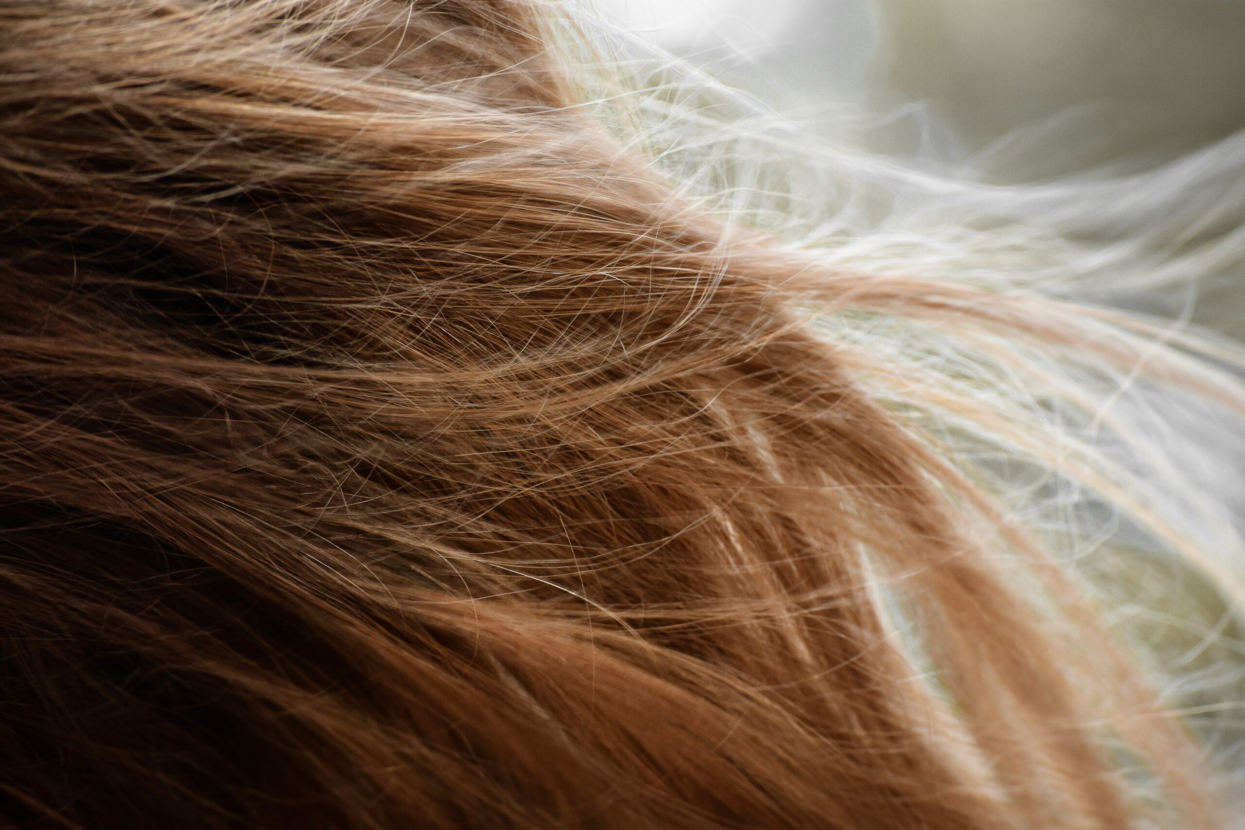 KitOhair fungal chitosan for hair care